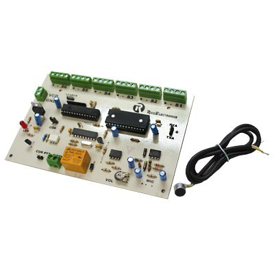 Ruizelectronics Rra06 FREE
