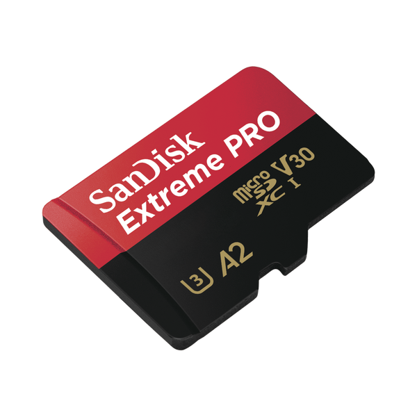 Sandisk Sds256ex 256Gb FREE