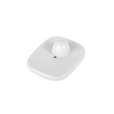 Century T005 100Pzs FREE