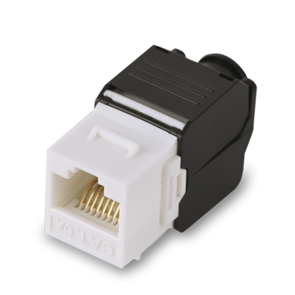 Saxxon M242c6 Cat6 FREE