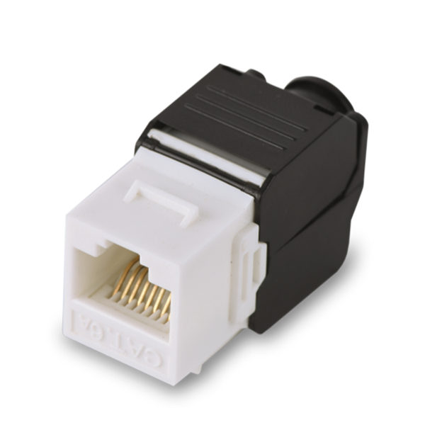 Saxxon M242c5 Cat5E . FREE