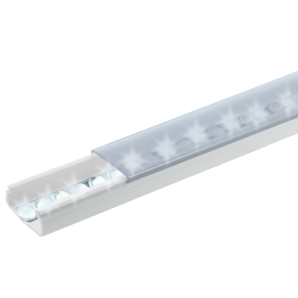 Thorsman Tmk1020tp2 FREE