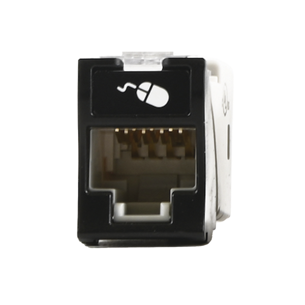 Siemon U6h01ns Cat6 FREE