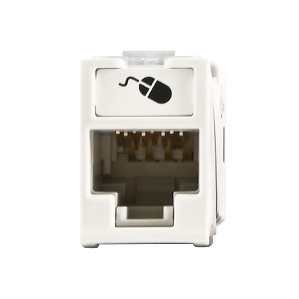 Siemon U6h02ns Cat6 FREE