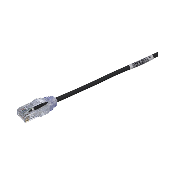 Panduit Utp28sp1bl Cat6 0.3M FREE