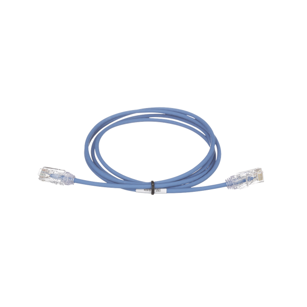 Panduit Utp28sp41bu Cat6 12.5M FREE