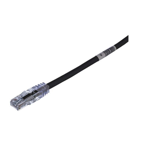 Panduit Utpsp10mbly FREE