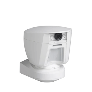 Dsc Pg9944 FREE