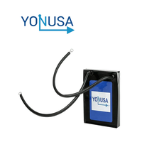 Yonusa Amp30-V v 🆓◦