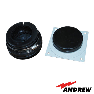 Andrew Sce12 FREE