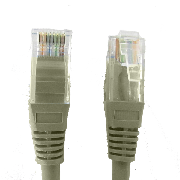 Saxxon P62ug Cat6 2M FREE